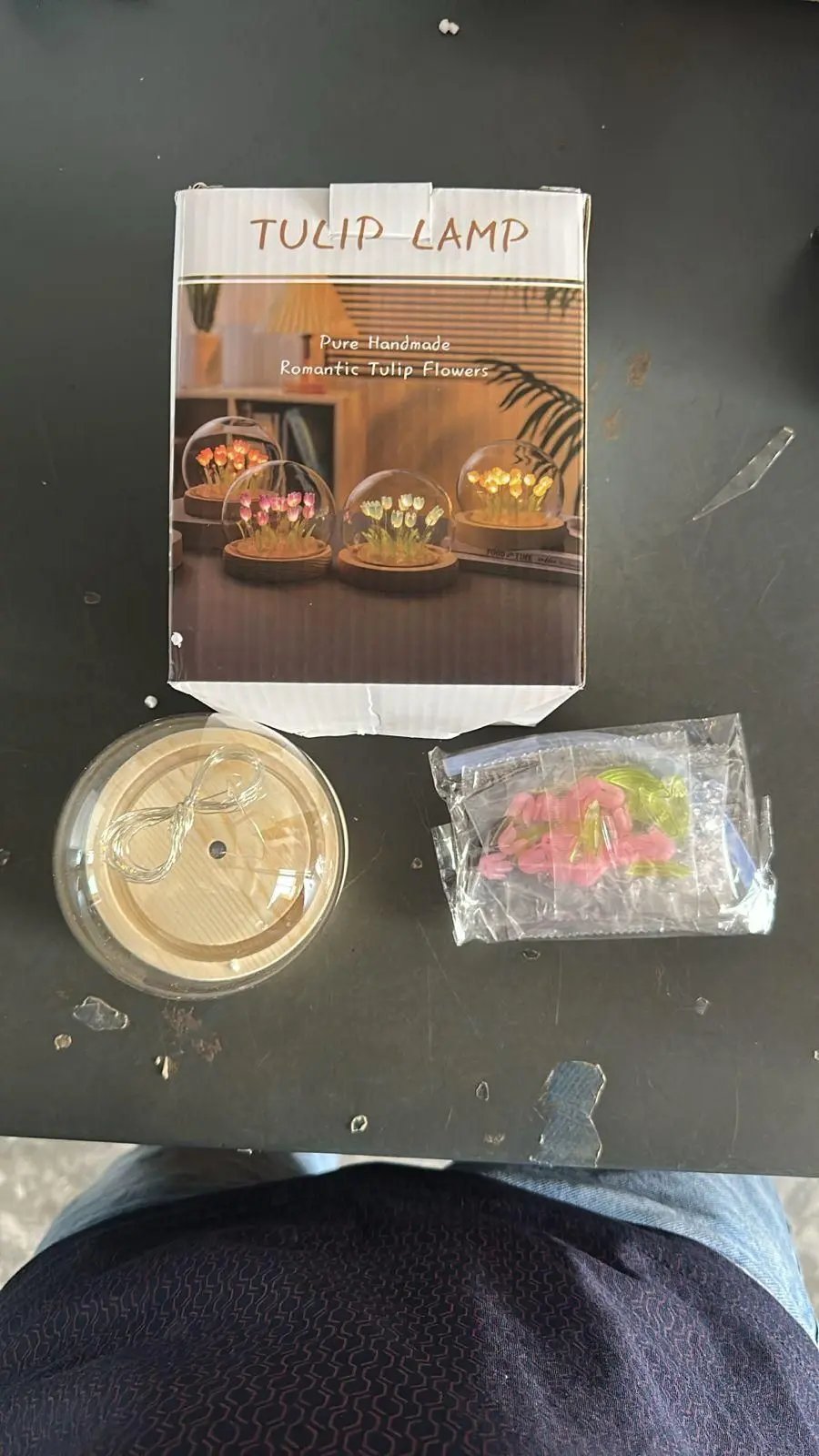 Round Tulip Light 9ttgn1-6x