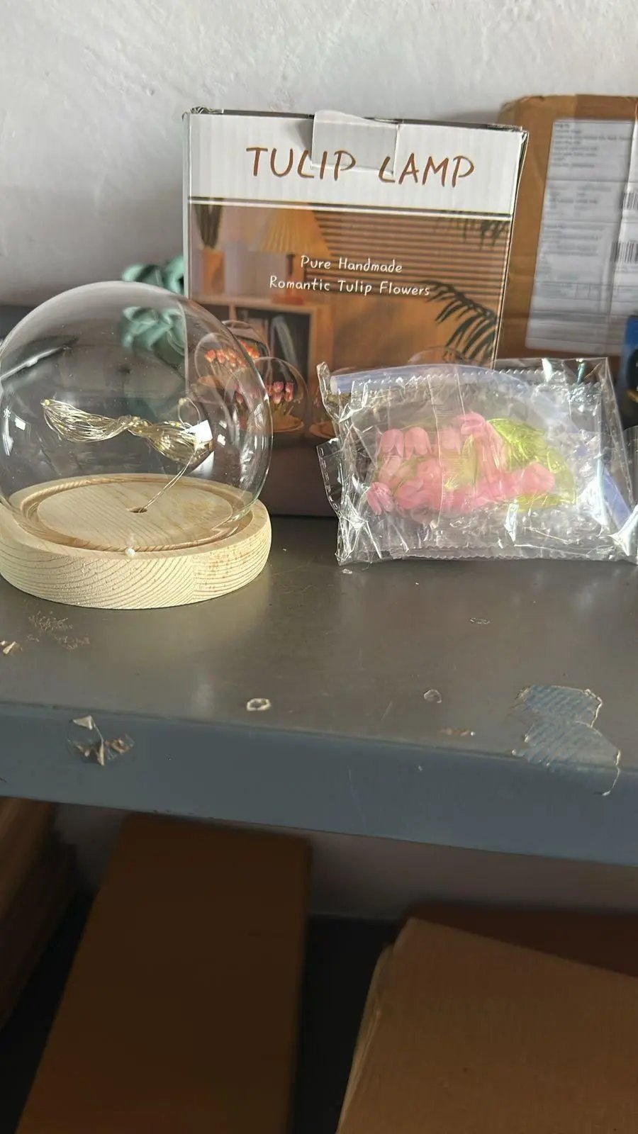 Round Tulip Light 9ttgn1-6x