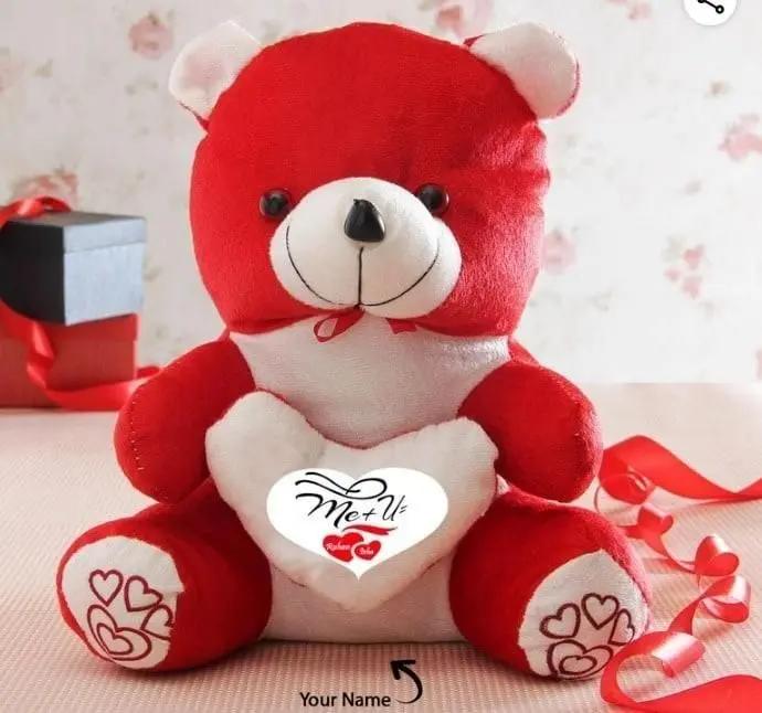 Love Quote Soft Teddy 9ttgn1-6x